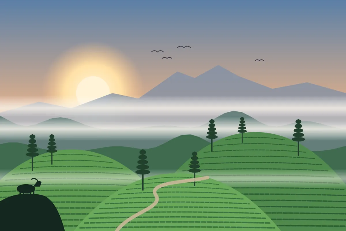 Illustration of terraced tea slopes and misty Western Ghats ridges around Munnar at sunrise